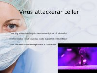 /album/a7-bakterier-och-virus/a7-bakterier-och-virus-022-jpeg/